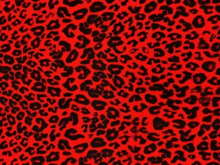Punk leopard červený